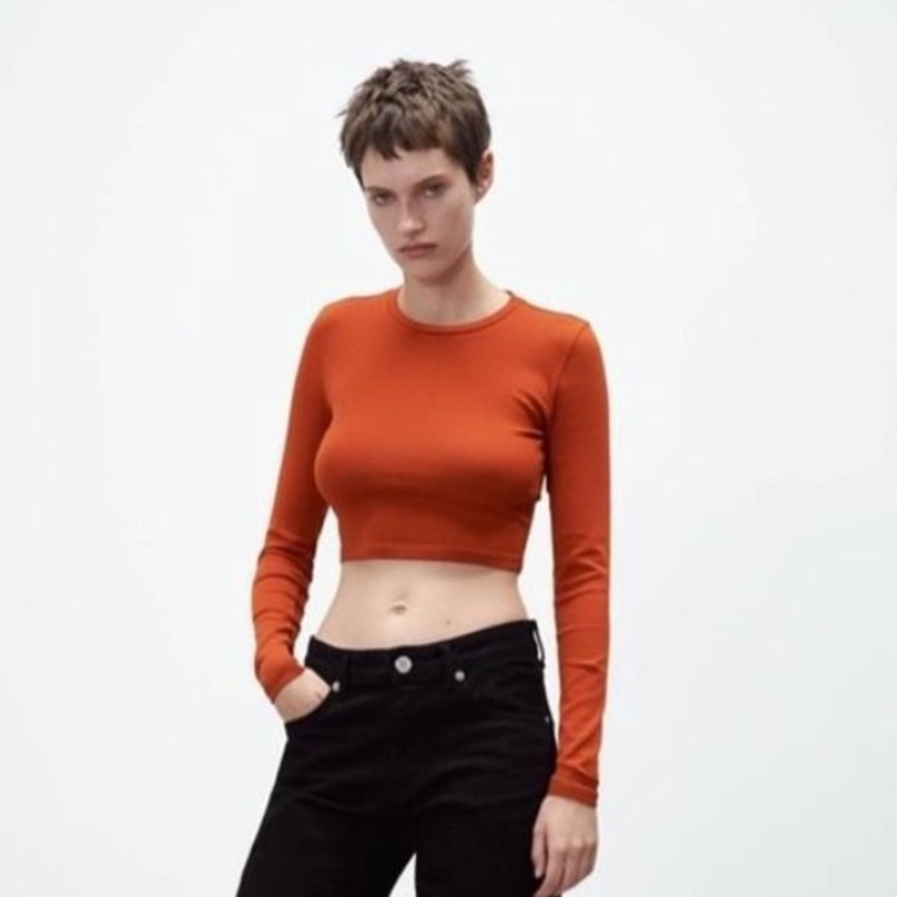 Zara Long Sleeves Crop Top Burnt/Dark Orange in Size M